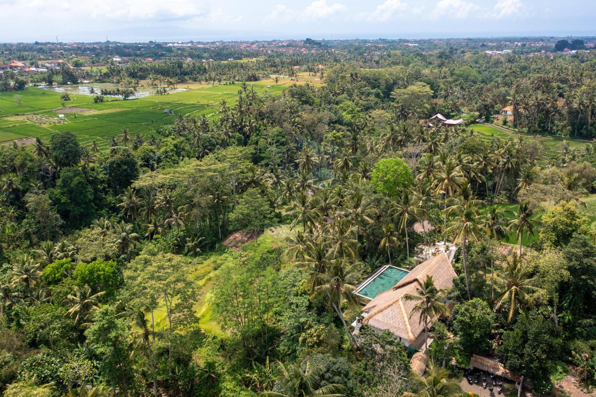 Bedulu Villa Ressource Ubud מראה חיצוני תמונה